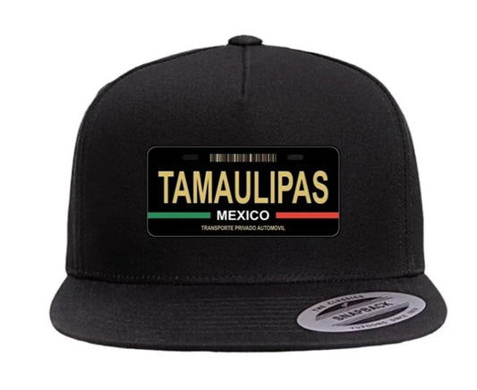 Tamaulipas Mexico Placa #2 (Snapback/Trucker)