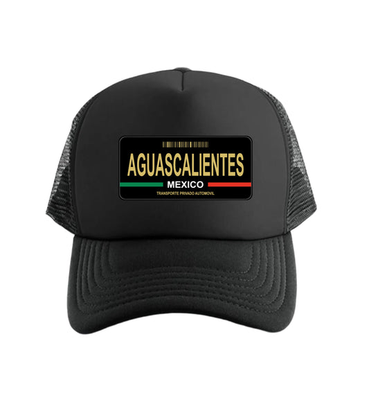 Aguascalientes Mexico Placa #2 (Snapback/Trucker)